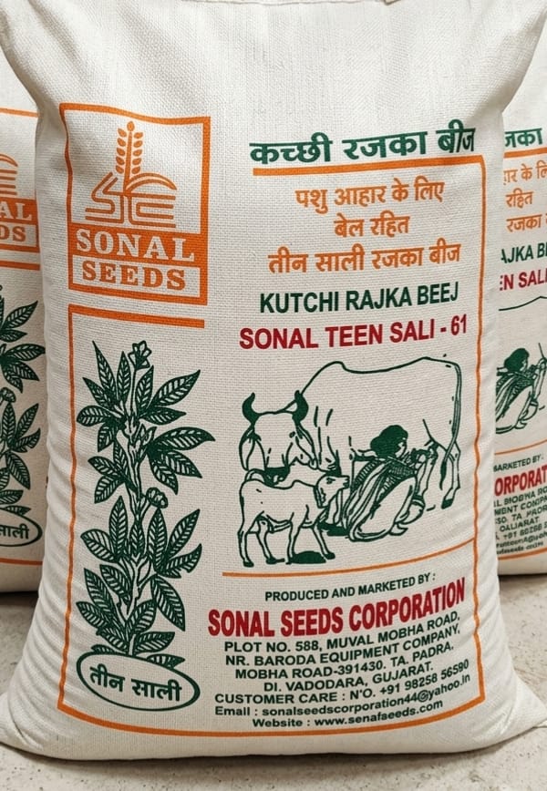 KUTCHI RAJKA BEEJ SONAL TEEN SALI-61