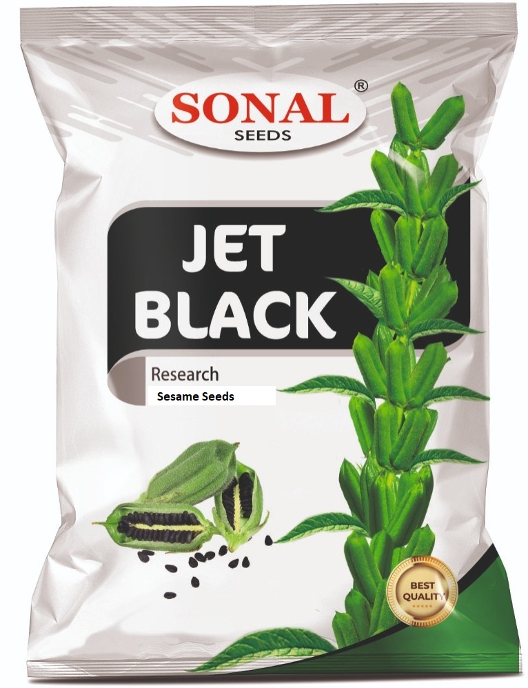 Sonal Seeds Jet Black Research Sesame Til Seeds Sonal Seeds Jet Black Research Sesame Til Seeds